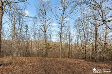 Marvelous Hunting Land in the Ouachita National Forest - image 4