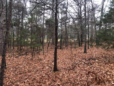 Residential Lot For Sale on the Mountain Ranch Golf Course - image 2