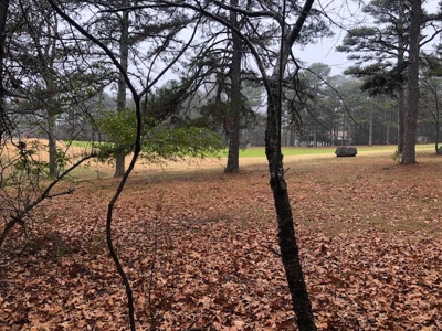 Residential Lot For Sale on the Mountain Ranch Golf Course - image 5