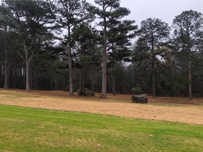 Residential Lot For Sale on the Mountain Ranch Golf Course - image 9