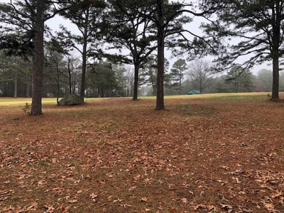 Residential Lot For Sale on the Mountain Ranch Golf Course - image 8