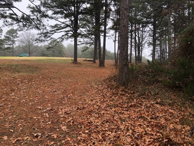 Residential Lot For Sale on the Mountain Ranch Golf Course - image 7