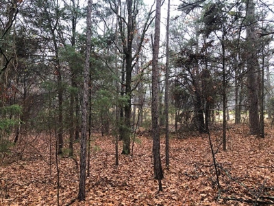 Residential Lot For Sale on the Mountain Ranch Golf Course - image 4