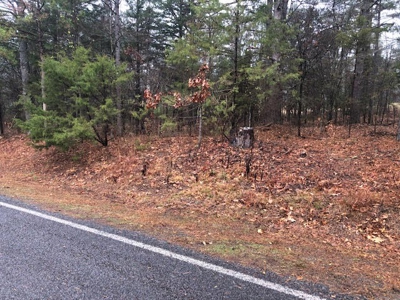 Residential Lot For Sale on the Mountain Ranch Golf Course - image 1