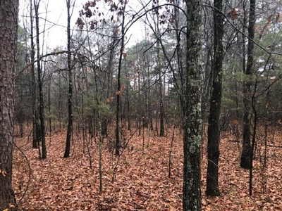Residential Lots For Sale near the Mountain Ranch Golf Club - image 6