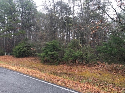 Residential Lots For Sale near the Mountain Ranch Golf Club - image 3
