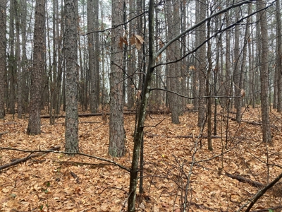 Residential Lot For Sale on the Mountain Ranch Golf Course - image 7