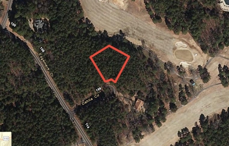 Residential Lot For Sale on the Mountain Ranch Golf Course - image 14