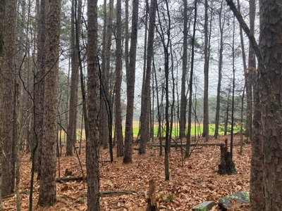 Residential Lot For Sale on the Mountain Ranch Golf Course - image 10