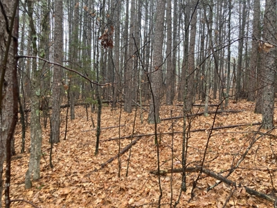 Residential Lot For Sale on the Mountain Ranch Golf Course - image 5