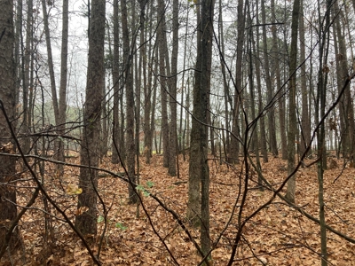 Residential Lot For Sale on the Mountain Ranch Golf Course - image 8