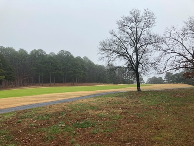 Residential Lot For Sale on the Mountain Ranch Golf Course - image 11