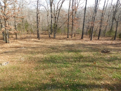 Spacious Home with Country Setting For Sale Harrison Ar - image 37