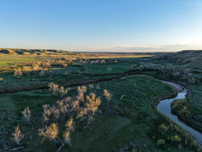 Northeastern Montana Working Cattle Ranch - image 33