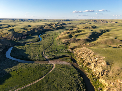 Northeastern Montana Working Cattle Ranch - image 27