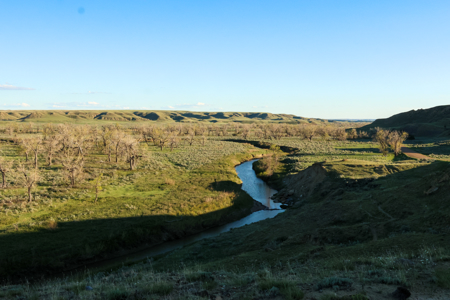 Northeastern Montana Working Cattle Ranch - image 22