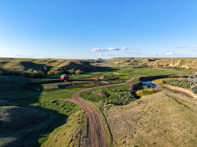Northeastern Montana Working Cattle Ranch - image 26