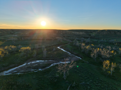 Northeastern Montana Working Cattle Ranch - image 32