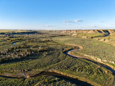 Northeastern Montana Working Cattle Ranch - image 28