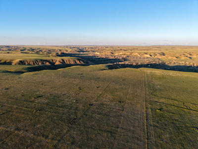 Northeastern Montana Working Cattle Ranch - image 34