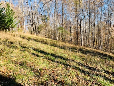 5001 Penthouse Rd, Cookeville TN 38502 - image 28