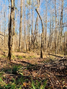 5001 Penthouse Rd, Cookeville TN 38502 - image 24