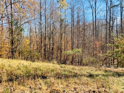 5001 Penthouse Rd, Cookeville TN 38502 - image 7