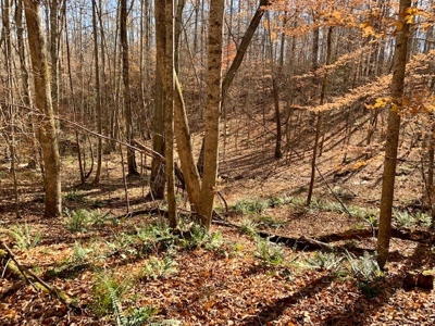 5001 Penthouse Rd, Cookeville TN 38502 - image 11