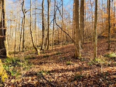 5001 Penthouse Rd, Cookeville TN 38502 - image 14