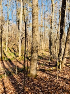 5001 Penthouse Rd, Cookeville TN 38502 - image 18