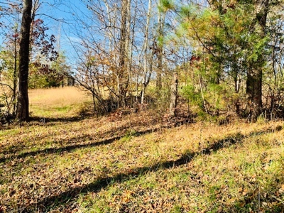 5001 Penthouse Rd, Cookeville TN 38502 - image 8