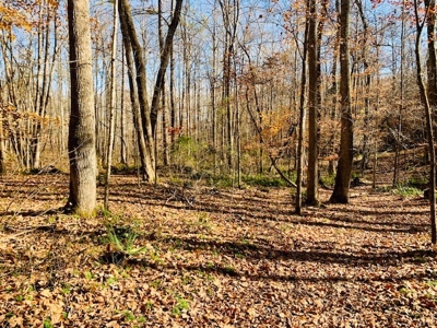 5001 Penthouse Rd, Cookeville TN 38502 - image 12
