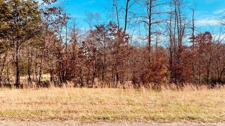 5001 Penthouse Rd, Cookeville TN 38502 - image 1