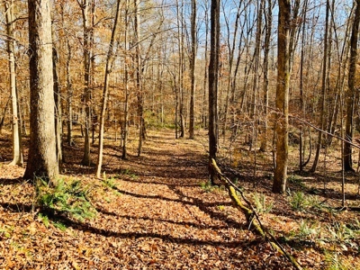 5001 Penthouse Rd, Cookeville TN 38502 - image 10