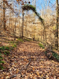5001 Penthouse Rd, Cookeville TN 38502 - image 23