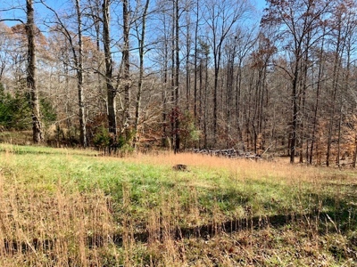 5001 Penthouse Rd, Cookeville TN 38502 - image 30