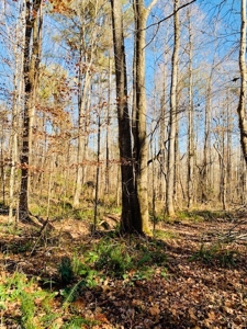 5001 Penthouse Rd, Cookeville TN 38502 - image 16