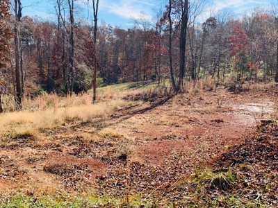 5001 Penthouse Rd, Cookeville TN 38502 - image 33