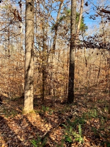 5001 Penthouse Rd, Cookeville TN 38502 - image 21