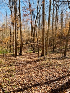 5001 Penthouse Rd, Cookeville TN 38502 - image 27