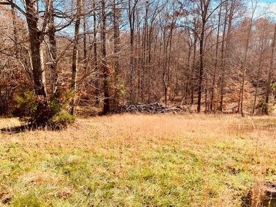 5001 Penthouse Rd, Cookeville TN 38502 - image 5
