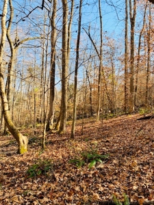 5001 Penthouse Rd, Cookeville TN 38502 - image 15