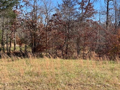 5001 Penthouse Rd, Cookeville TN 38502 - image 34