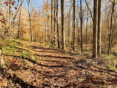5001 Penthouse Rd, Cookeville TN 38502 - image 9