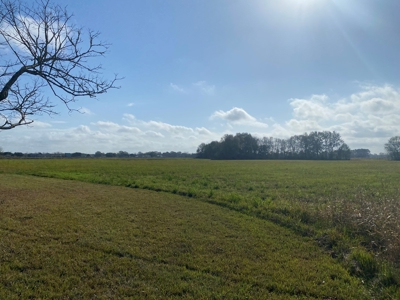 16 Acre  Farm Lafayette Parish - image 2