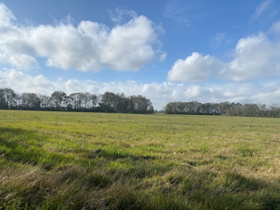 16 Acre  Farm Lafayette Parish - image 4