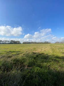 16 Acre  Farm Lafayette Parish - image 1
