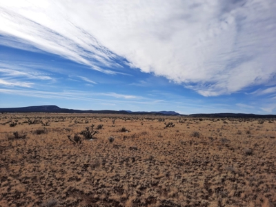 360 Views - image 5