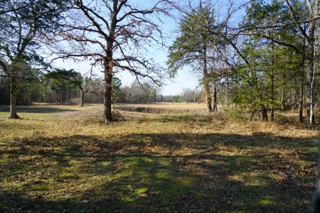 Southeastern Oklahoma Cabin Site Near National Forest - image 7