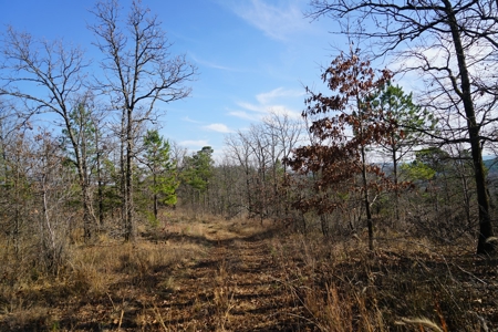 Southeastern Oklahoma Cabin Site Near National Forest - image 1